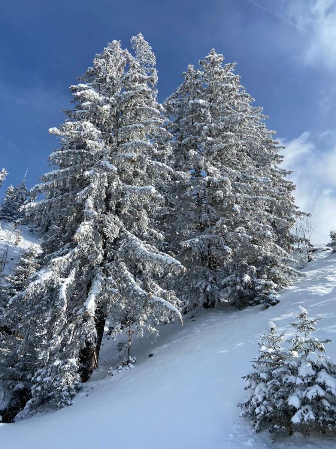 לה קלוסאז Appartement Cosy Au Pied Des Pistes מראה חיצוני תמונה